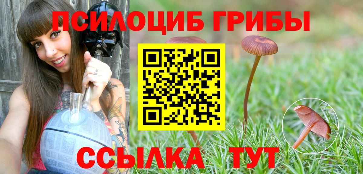Нарткала  Псилоцибиновые грибы Psilocybine cubensis  Псилоцибиновые грибы Cubensis  Вход с VPN 
